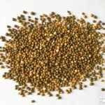 Удобрение Osmocote PRO 5-6 мес  1 кг - фото 1 от Завода ФЛОРА