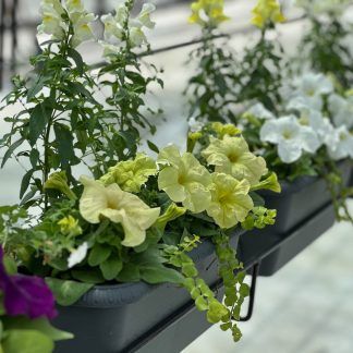 Распродажа!!! Цветочные композиции / Кашпо