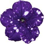 Петуния Surprise Sparkling Blue - фото 1 от Завода ФЛОРА