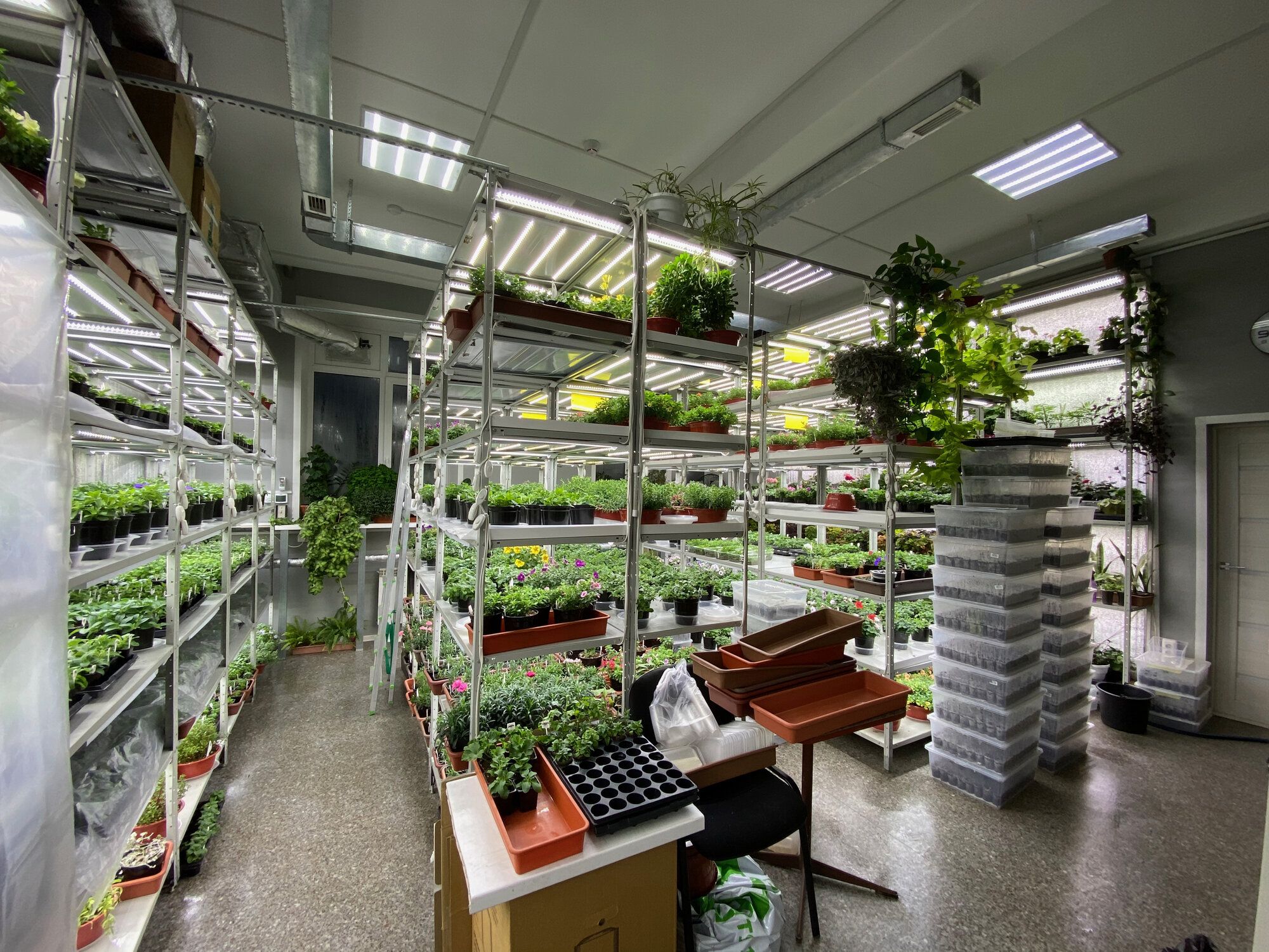 Зарождение империи