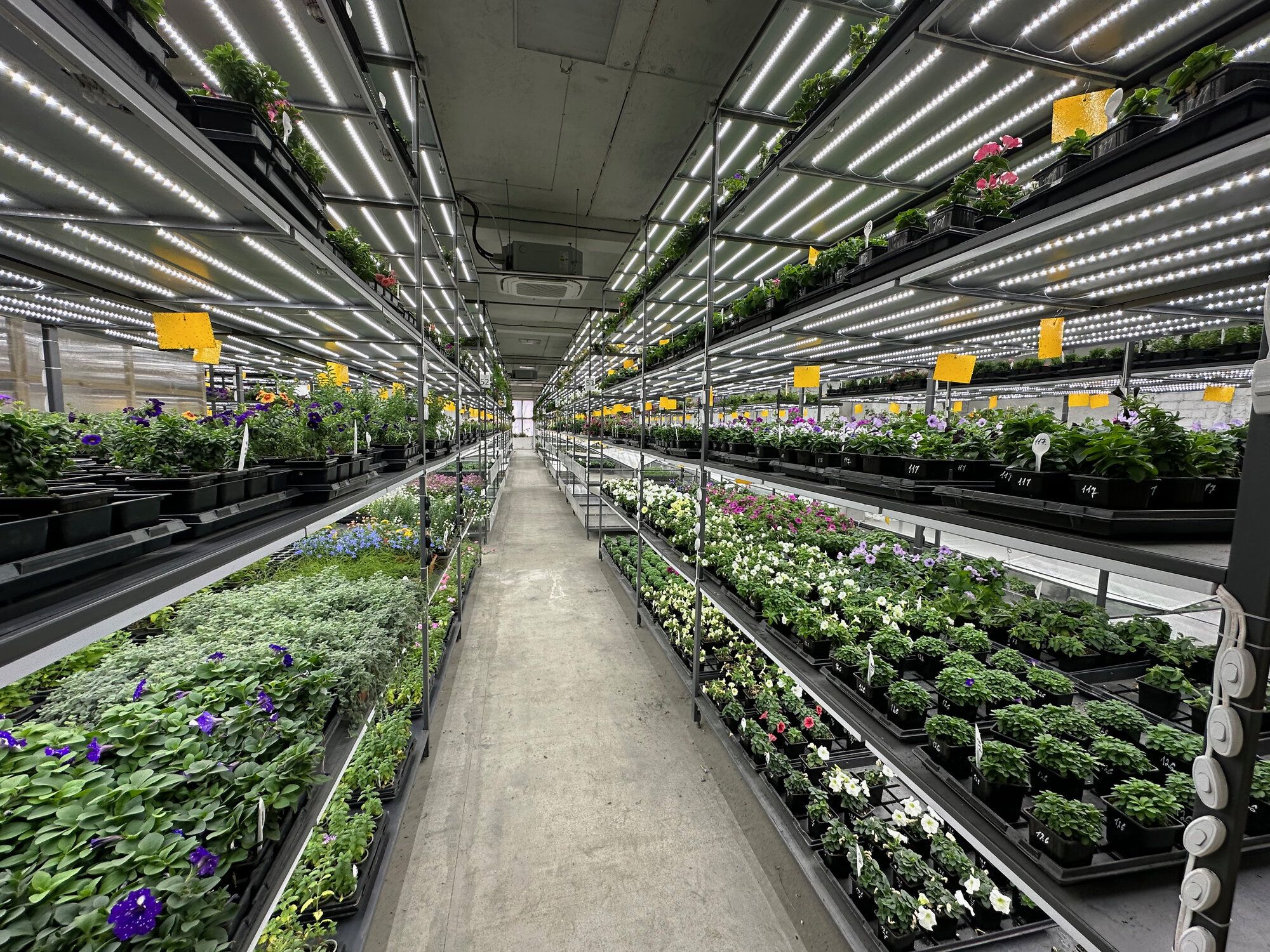 А ведь это только начало