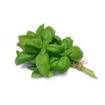 Базилик овощной от Завода ФЛОРА