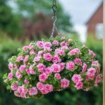 Петуния Tumbelina Compact Victoria Pro - фото 2 от Завода ФЛОРА