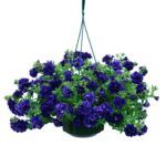 Петуния Tumbelina Belinda - фото 2 от Завода ФЛОРА