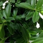 Хебе - фото 1 от Завода ФЛОРА