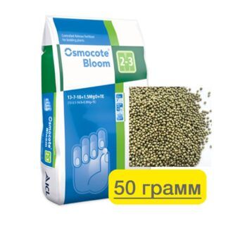 photo_2025-08-23_08-55-52