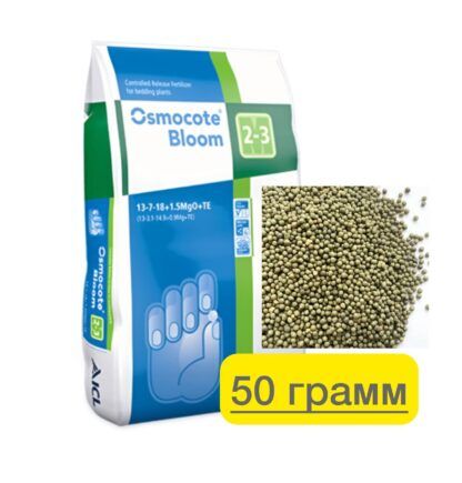 photo_2025-08-23_08-55-52