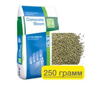 photo_2025-08-23_09-06-16