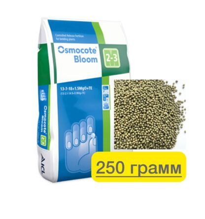 photo_2025-08-23_09-06-16