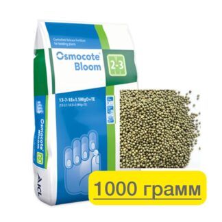 photo_2025-08-23_09-06-18