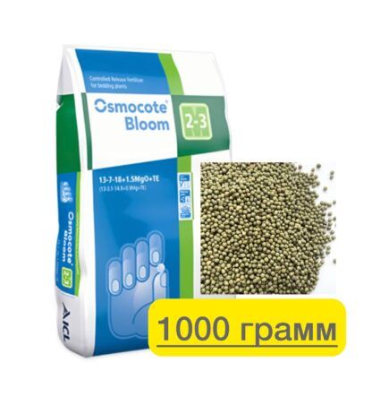 photo_2025-08-23_09-06-18