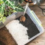 Биогрунт Универсальный от Завода ФЛОРА