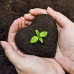 Вермикомпост от Завода ФЛОРА