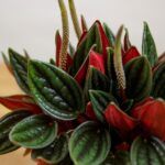 AUTO-DRAFT от Завода ФЛОРА