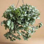 AUTO-DRAFT от Завода ФЛОРА