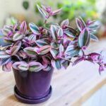 AUTO-DRAFT от Завода ФЛОРА