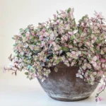 AUTO-DRAFT от Завода ФЛОРА