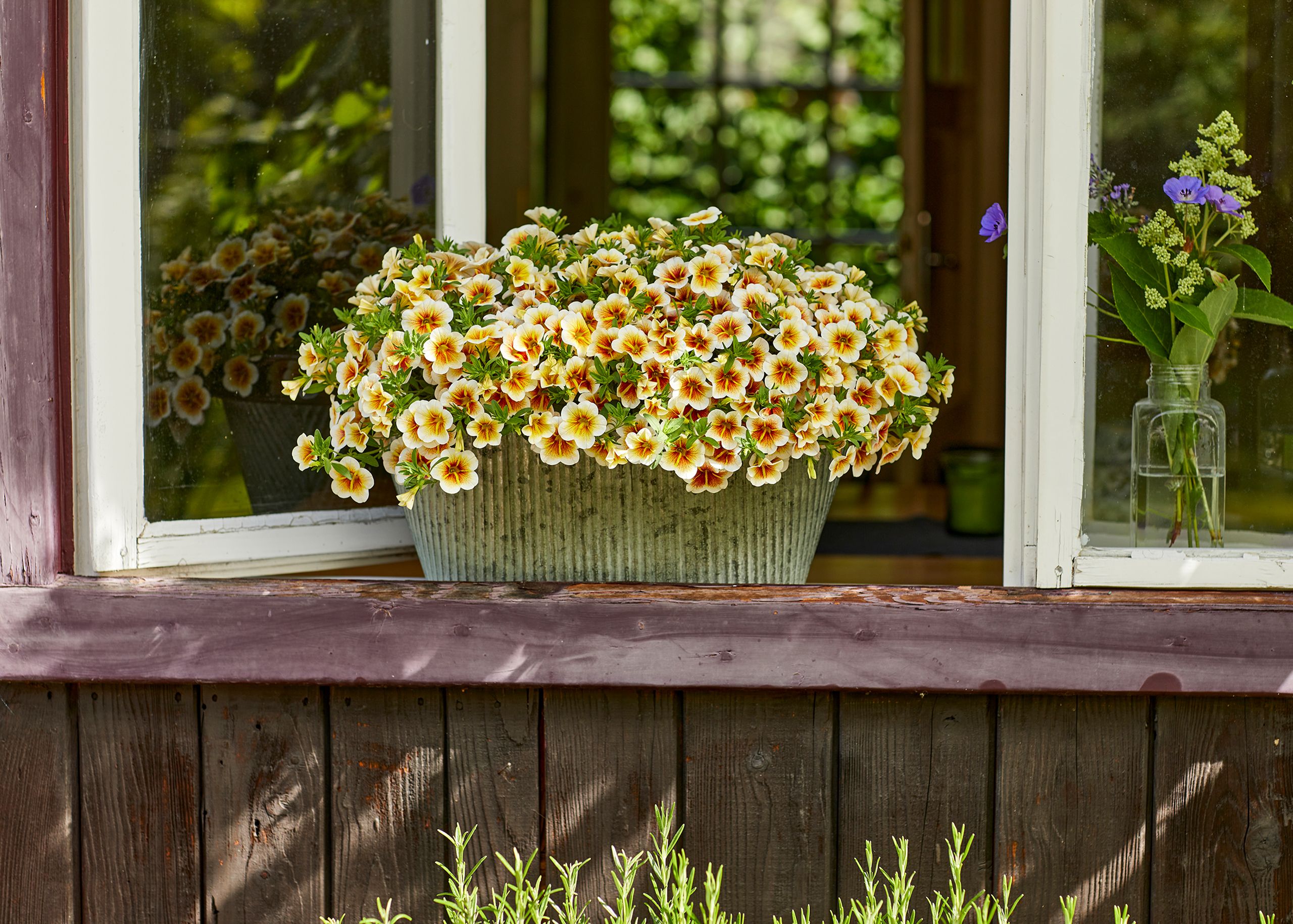 AUTO-DRAFT от Завода ФЛОРА