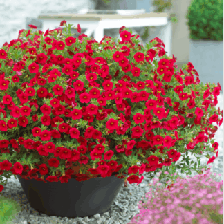 AUTO-DRAFT от Завода ФЛОРА