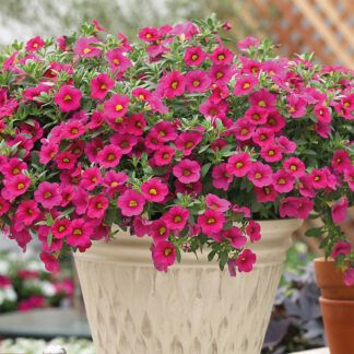 AUTO-DRAFT от Завода ФЛОРА