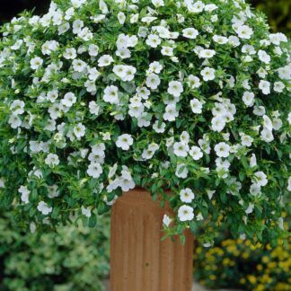 AUTO-DRAFT от Завода ФЛОРА