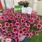 AUTO-DRAFT от Завода ФЛОРА