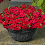 AUTO-DRAFT от Завода ФЛОРА