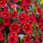 AUTO-DRAFT от Завода ФЛОРА