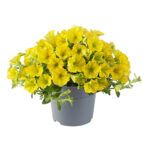 AUTO-DRAFT от Завода ФЛОРА