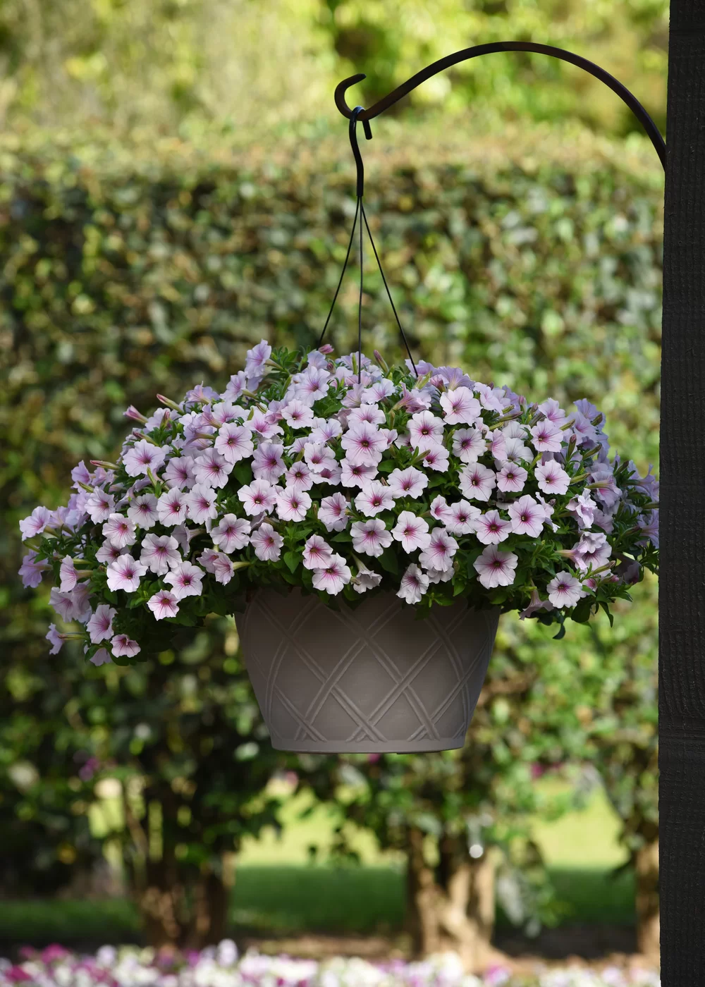 AUTO-DRAFT от Завода ФЛОРА