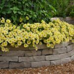 AUTO-DRAFT от Завода ФЛОРА