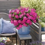 AUTO-DRAFT от Завода ФЛОРА