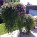 AUTO-DRAFT от Завода ФЛОРА