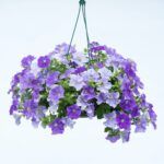 AUTO-DRAFT от Завода ФЛОРА