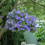 AUTO-DRAFT от Завода ФЛОРА