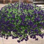 AUTO-DRAFT от Завода ФЛОРА