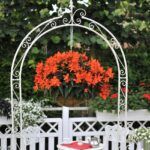 Бегония Iconia Upright Fire (0,1л) от Завода ФЛОРА