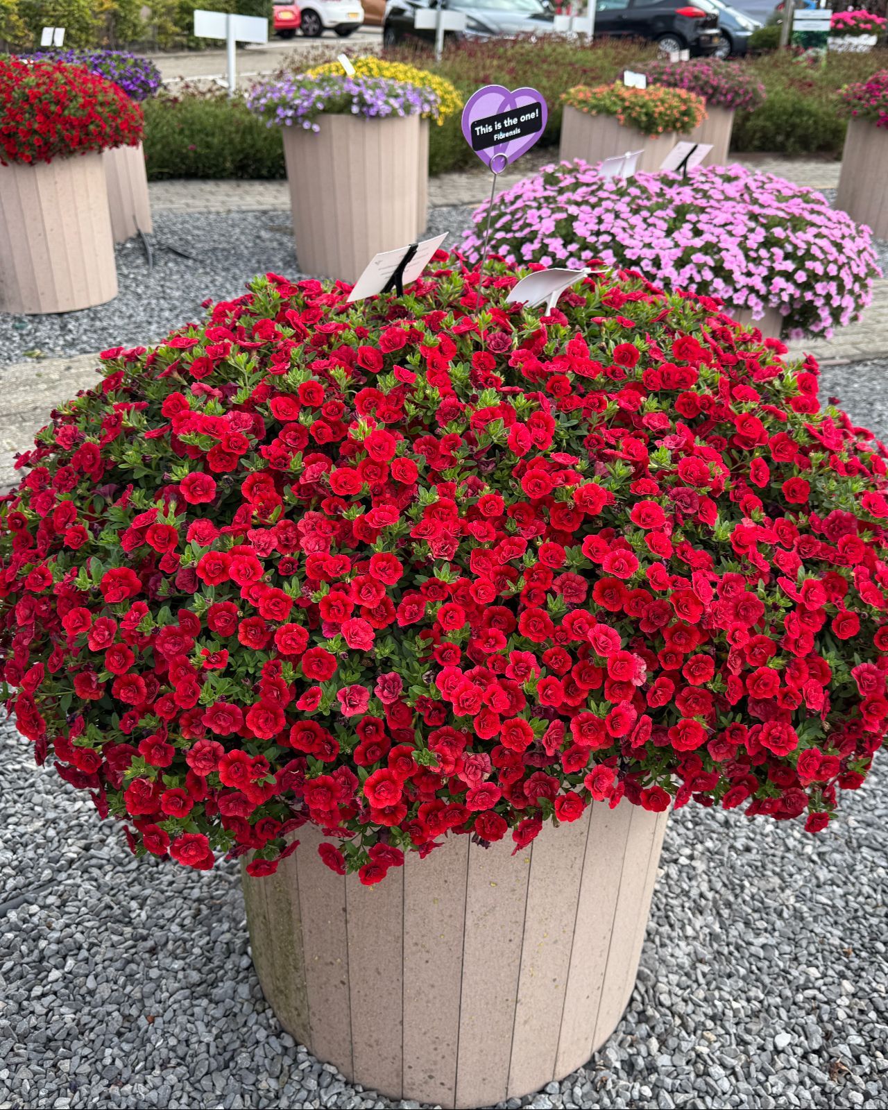 AUTO-DRAFT от Завода ФЛОРА