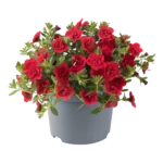 AUTO-DRAFT от Завода ФЛОРА