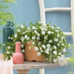 AUTO-DRAFT от Завода ФЛОРА