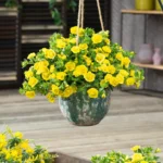 AUTO-DRAFT от Завода ФЛОРА