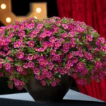 AUTO-DRAFT от Завода ФЛОРА