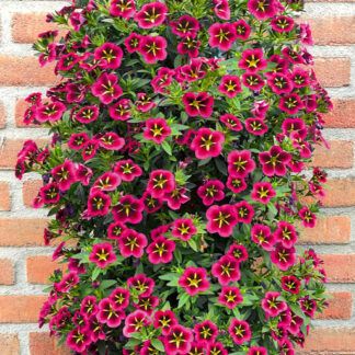 AUTO-DRAFT от Завода ФЛОРА