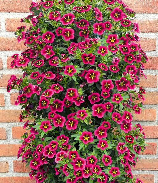 AUTO-DRAFT от Завода ФЛОРА