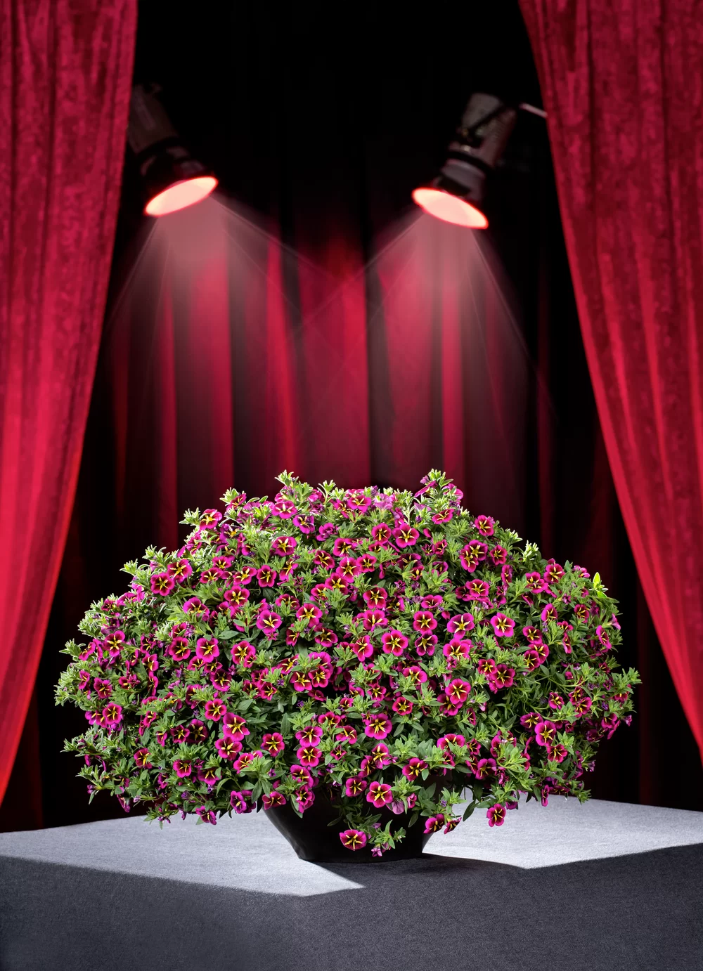 AUTO-DRAFT от Завода ФЛОРА