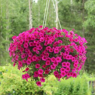 AUTO-DRAFT от Завода ФЛОРА