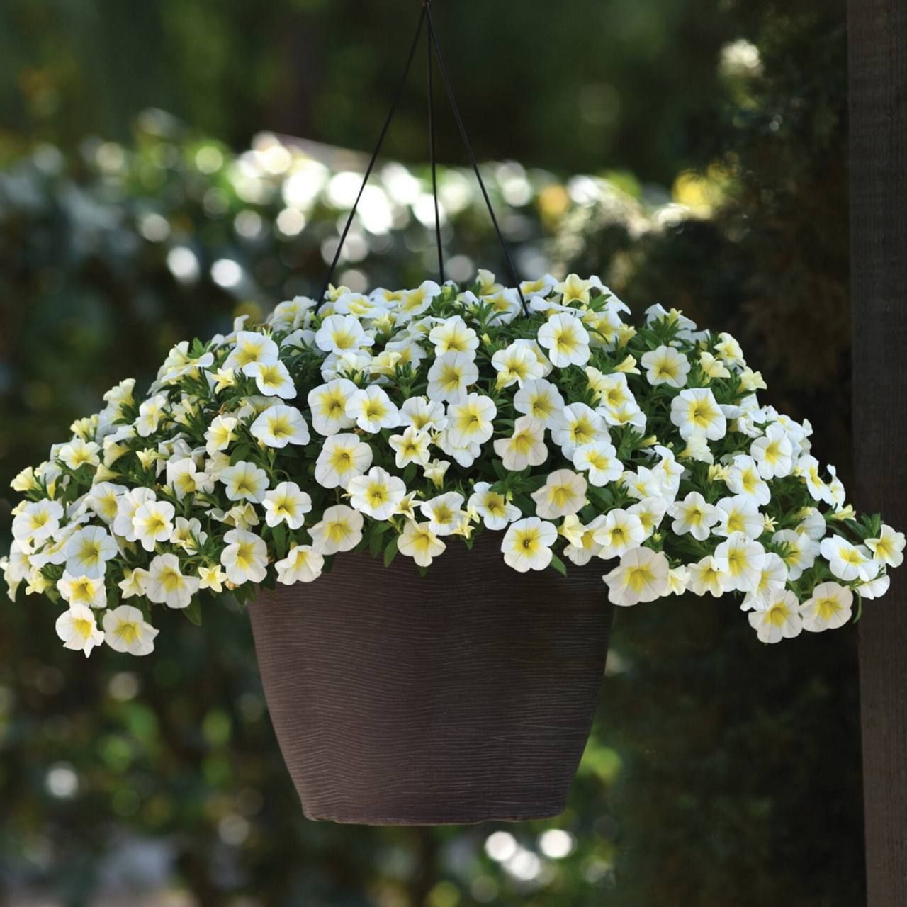 AUTO-DRAFT от Завода ФЛОРА