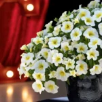 AUTO-DRAFT от Завода ФЛОРА