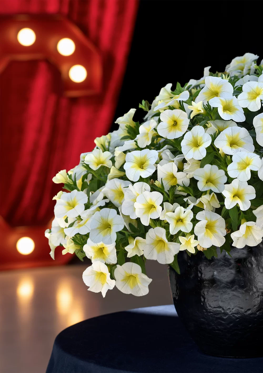 AUTO-DRAFT от Завода ФЛОРА