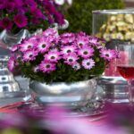 AUTO-DRAFT от Завода ФЛОРА